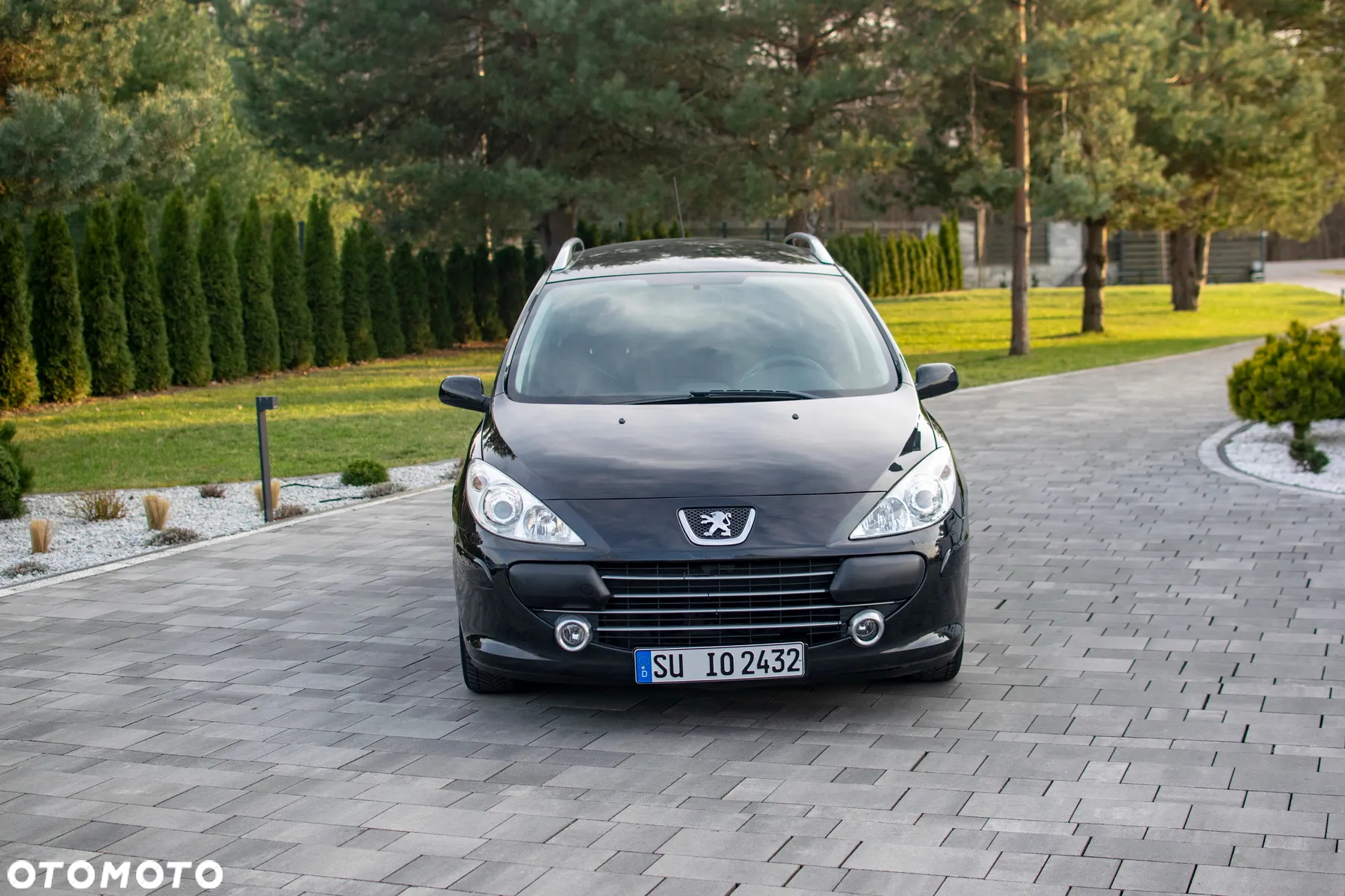 Peugeot 307 - 14