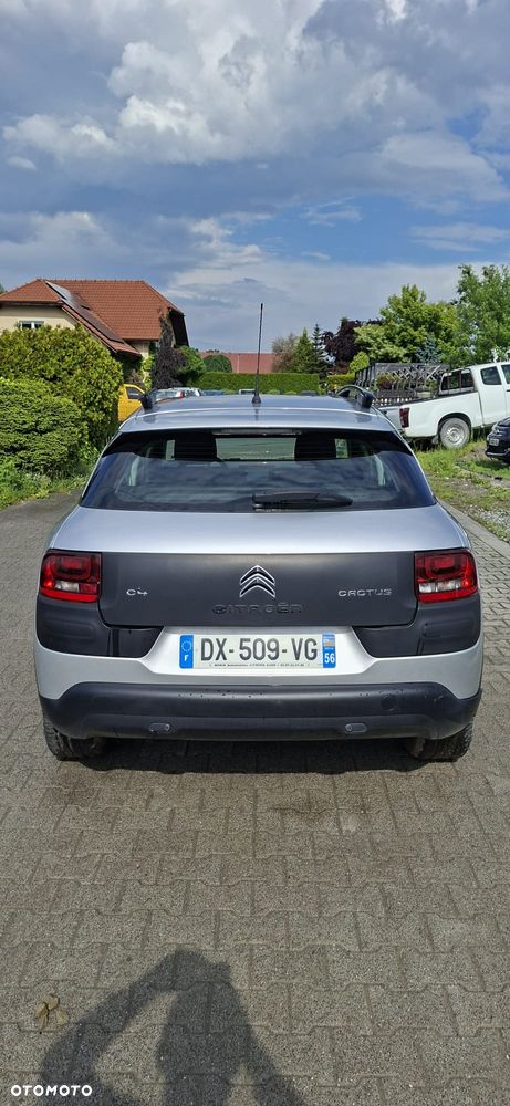 Citroën C4 Cactus PureTech 82 Business Class - 8