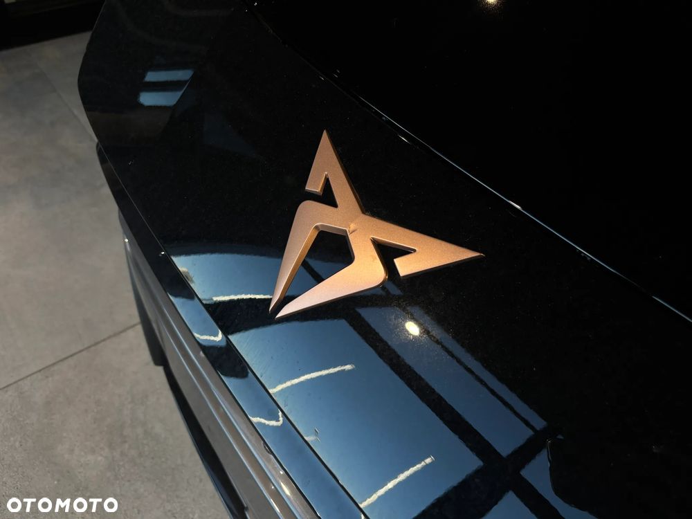 Cupra Terramar - 9