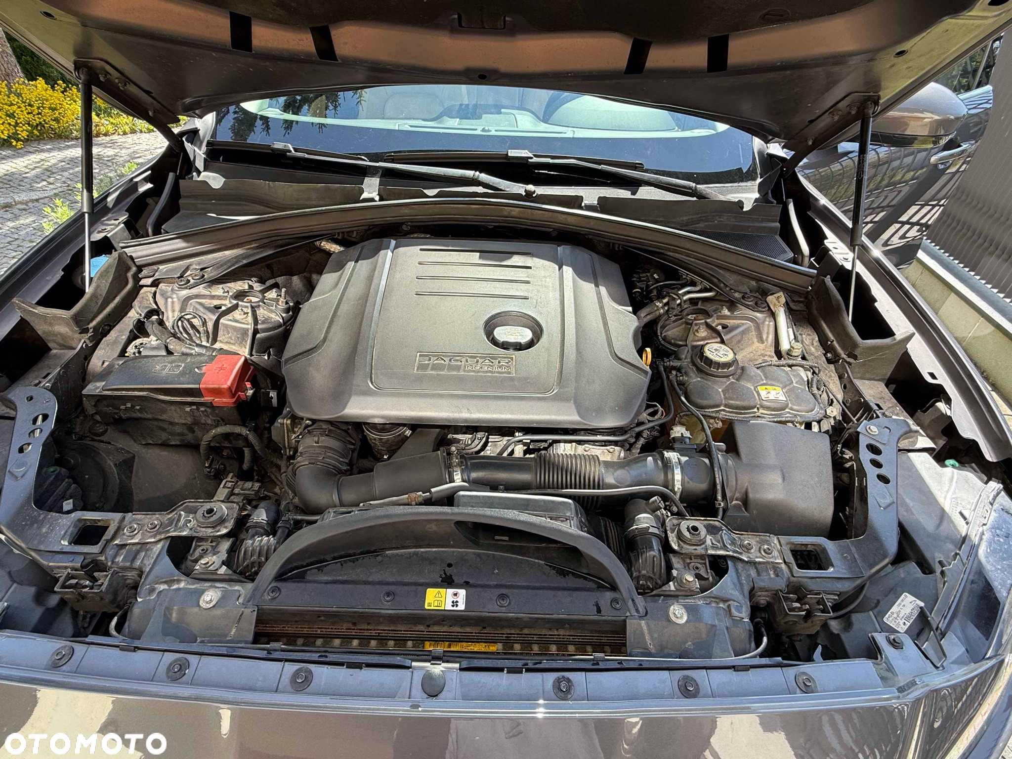 Jaguar F-Pace 2.0 i4D AWD Prestige - 14