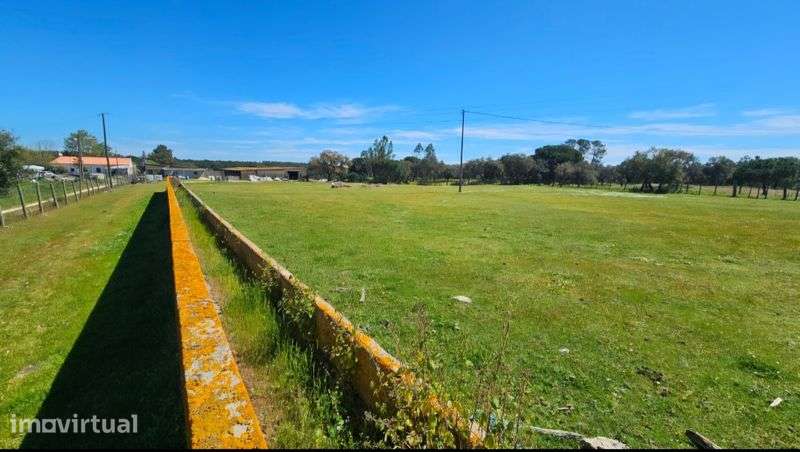 Terreno Rústico 2,7 ha - Coruche / Santarém - Grande imagem: 3/8