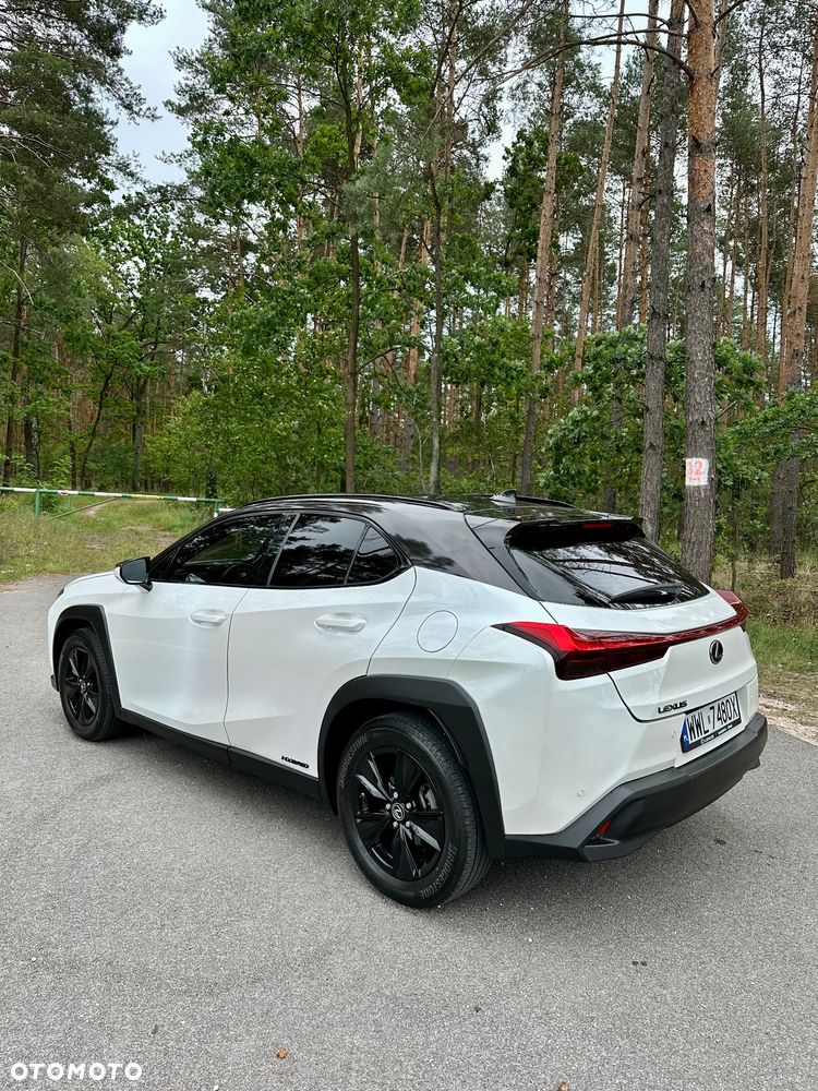 Lexus UX 250h Prestige 2WD - 17