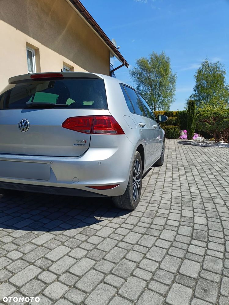 Volkswagen Golf 1.6 TDI BlueMotion Technology Allstar - 3