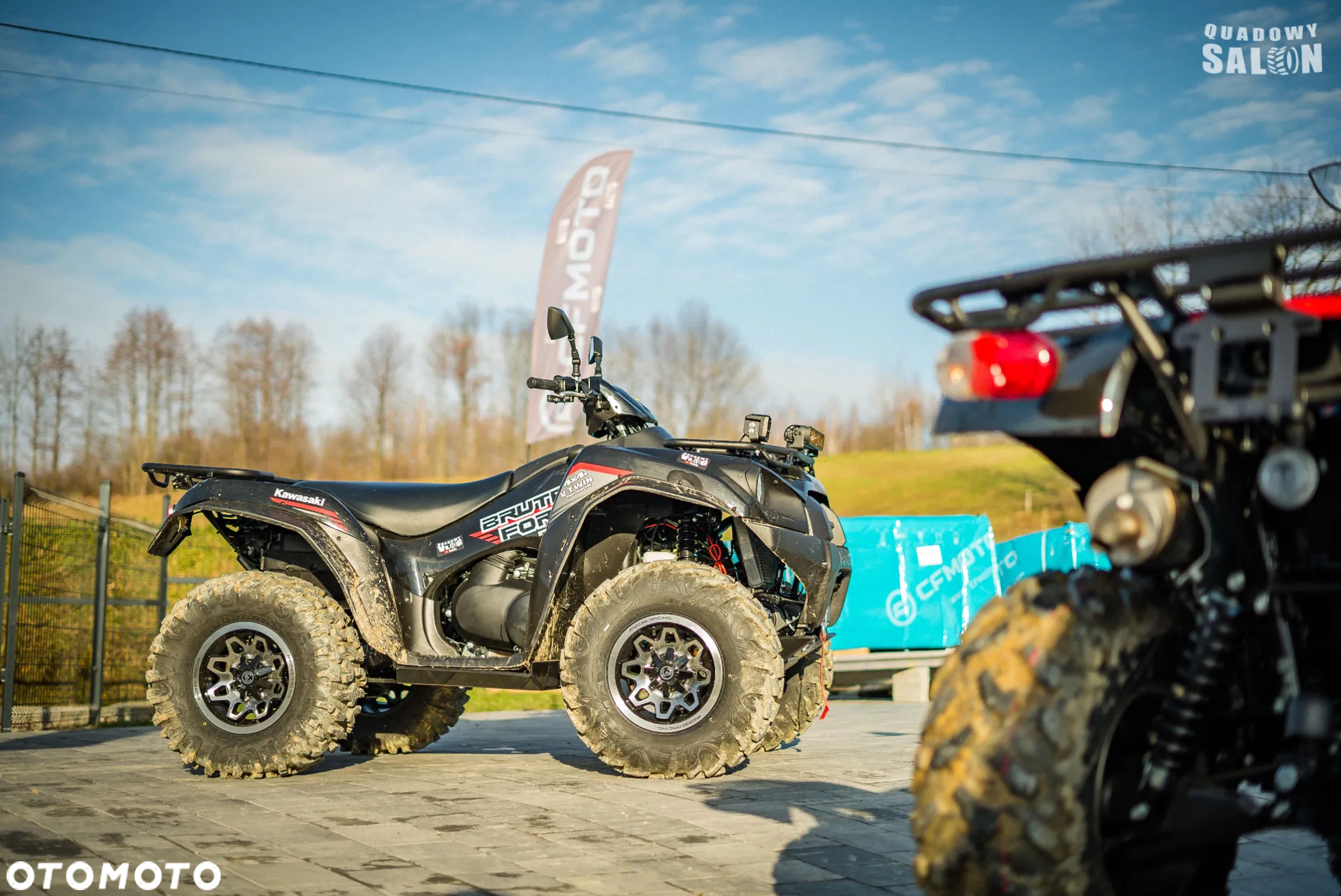 Kawasaki Brute Force - 26