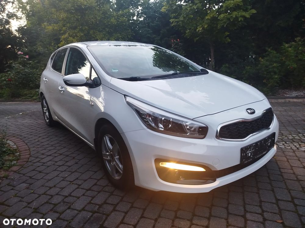Kia Ceed - 1