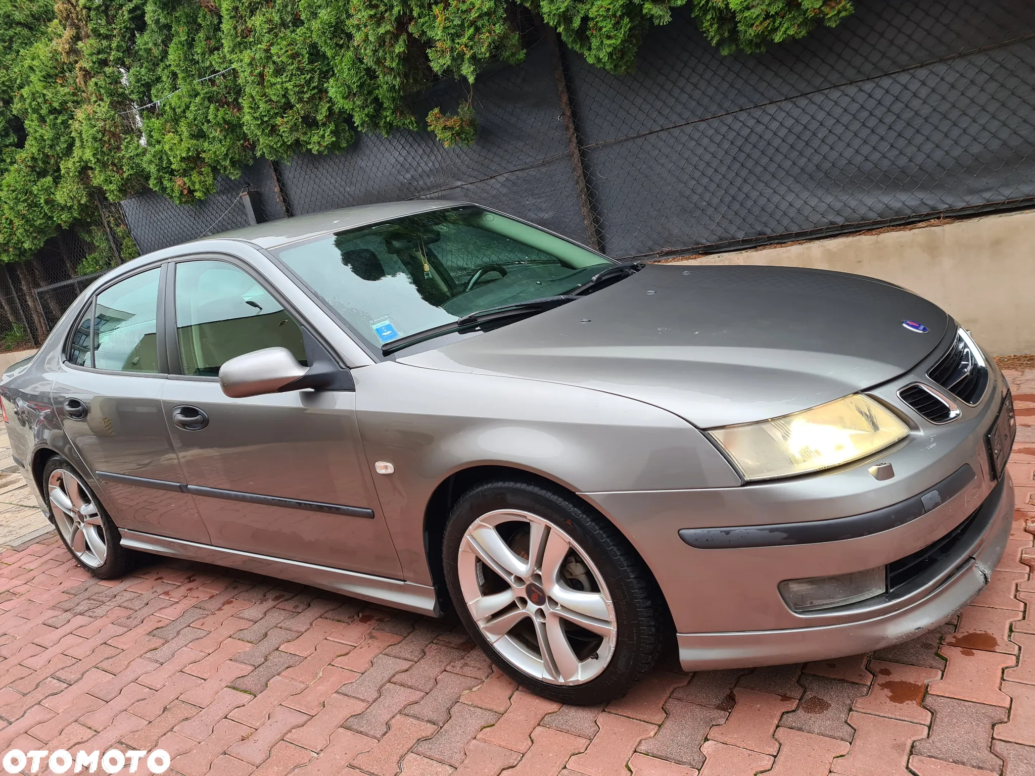 Saab 9-3 1.9 TiD DPF Vector - 13