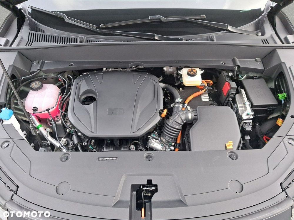 Geely Starray - 10