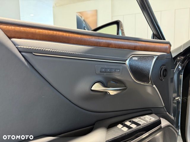 Lexus ES 300h Omotenashi - 9