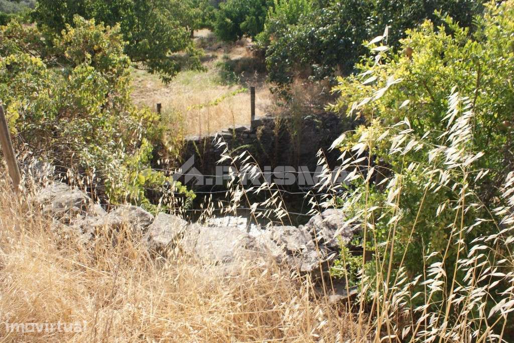 Terreno agrícola - Grande imagem: 5/12
