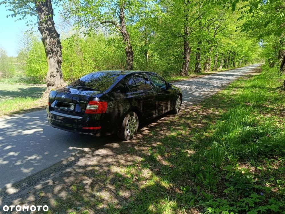 Skoda Octavia 1.2 TSI Active - 5