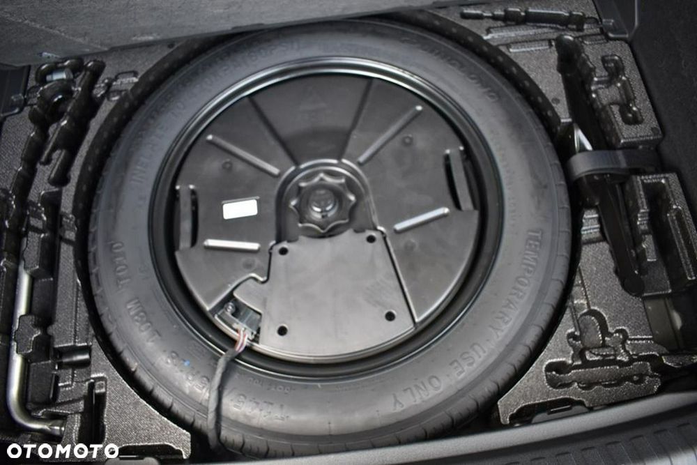Cupra Terramar 2.0 TSI 4Drive DSG - 21