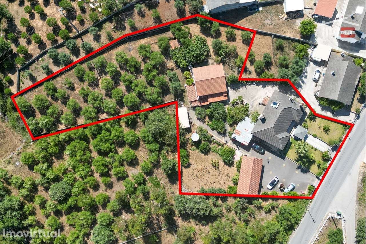 MORADIA T3 COM RES DO CHÃO E CAVE EM MOITA DO MARTINHO SÃO MAMEDE - Grande imagem: 3/40