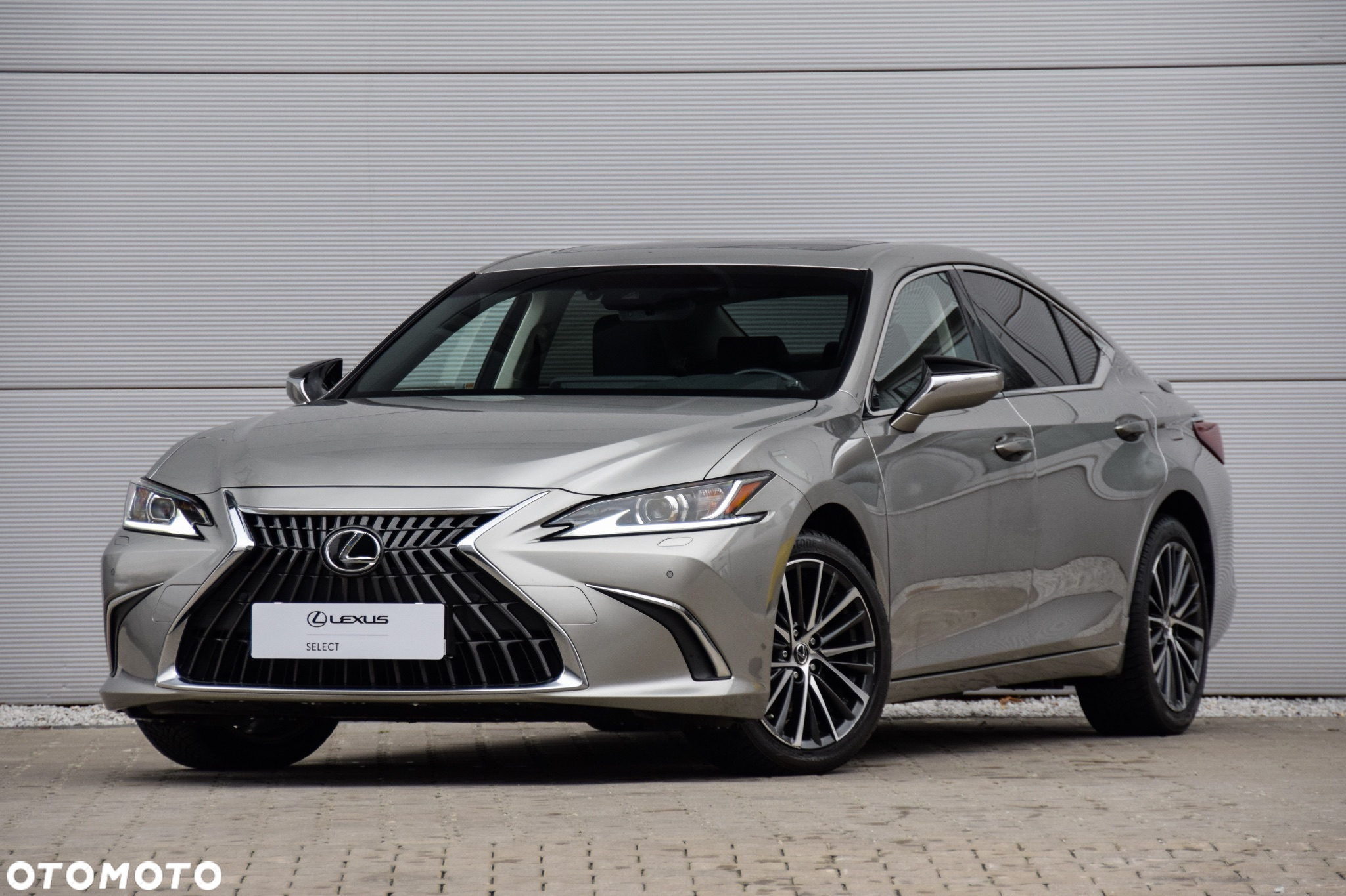Lexus ES 300h Business Edition - 2