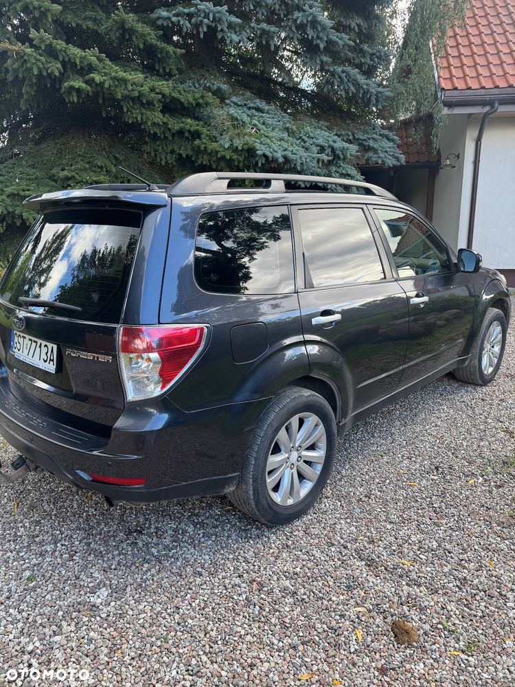 Subaru Forester 2.0 XE NAV - 7