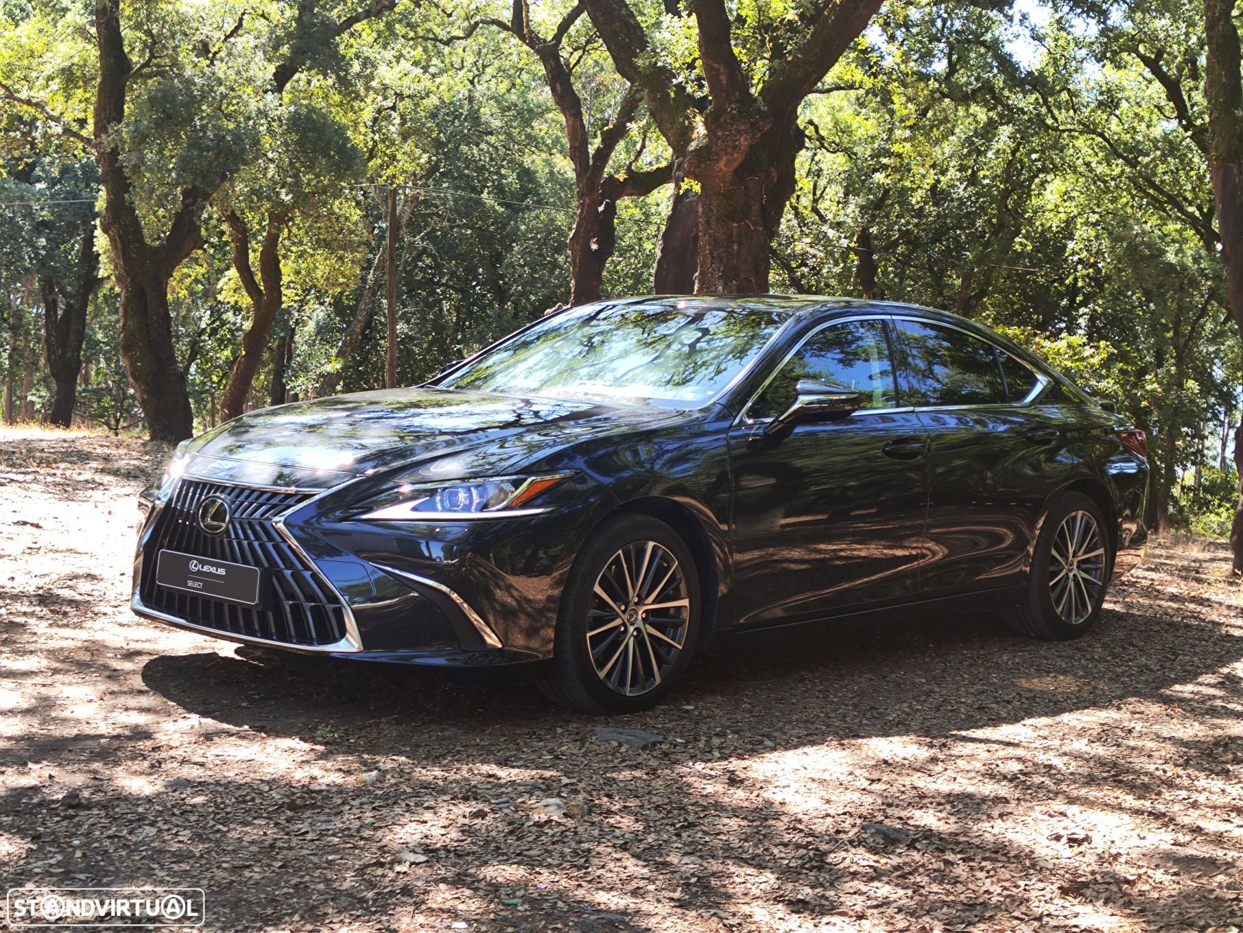 Lexus ES 300h Special Edition - 1