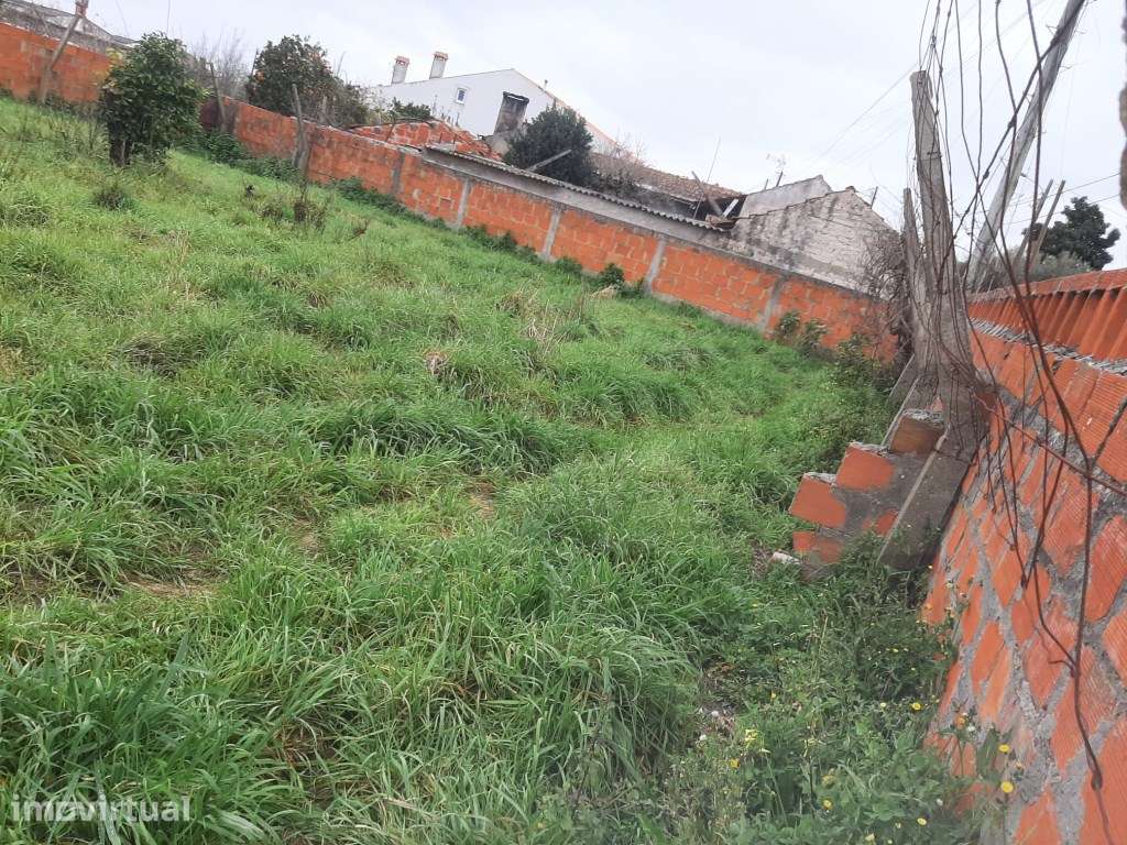 Terreno com 44 m frente Calvão - Vagos - Grande imagem: 3/10