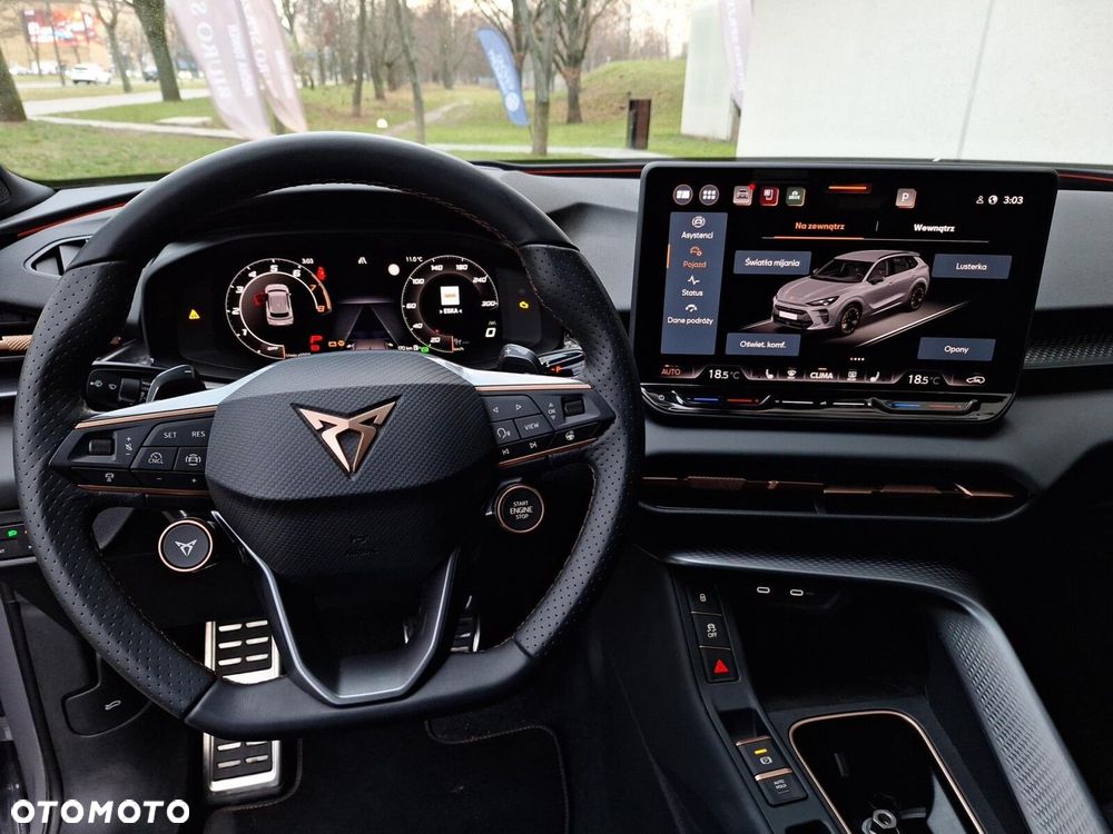 Cupra Terramar - 18