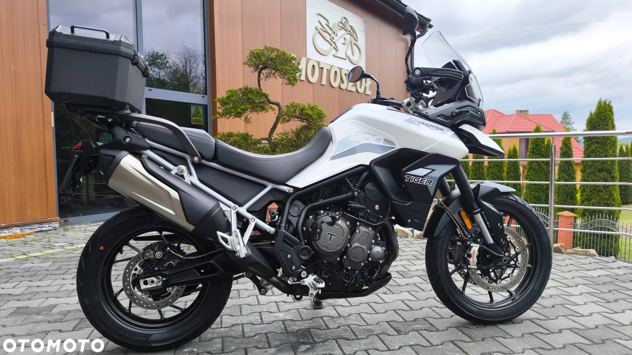Triumph Tiger - 5