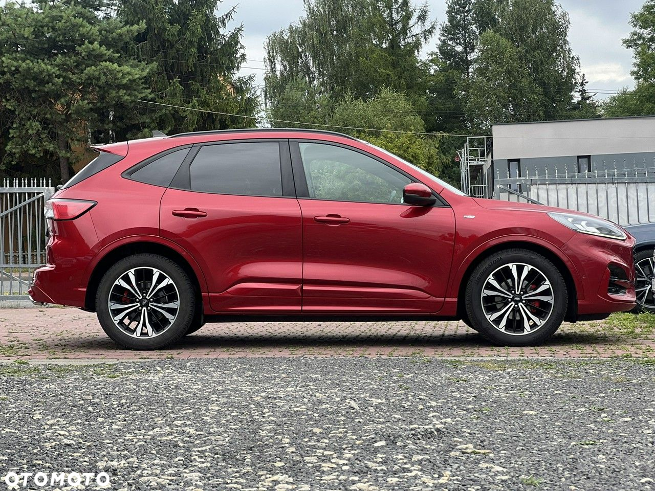 Ford Kuga 2.0 EcoBlue mHEV FWD ST-Line X - 5