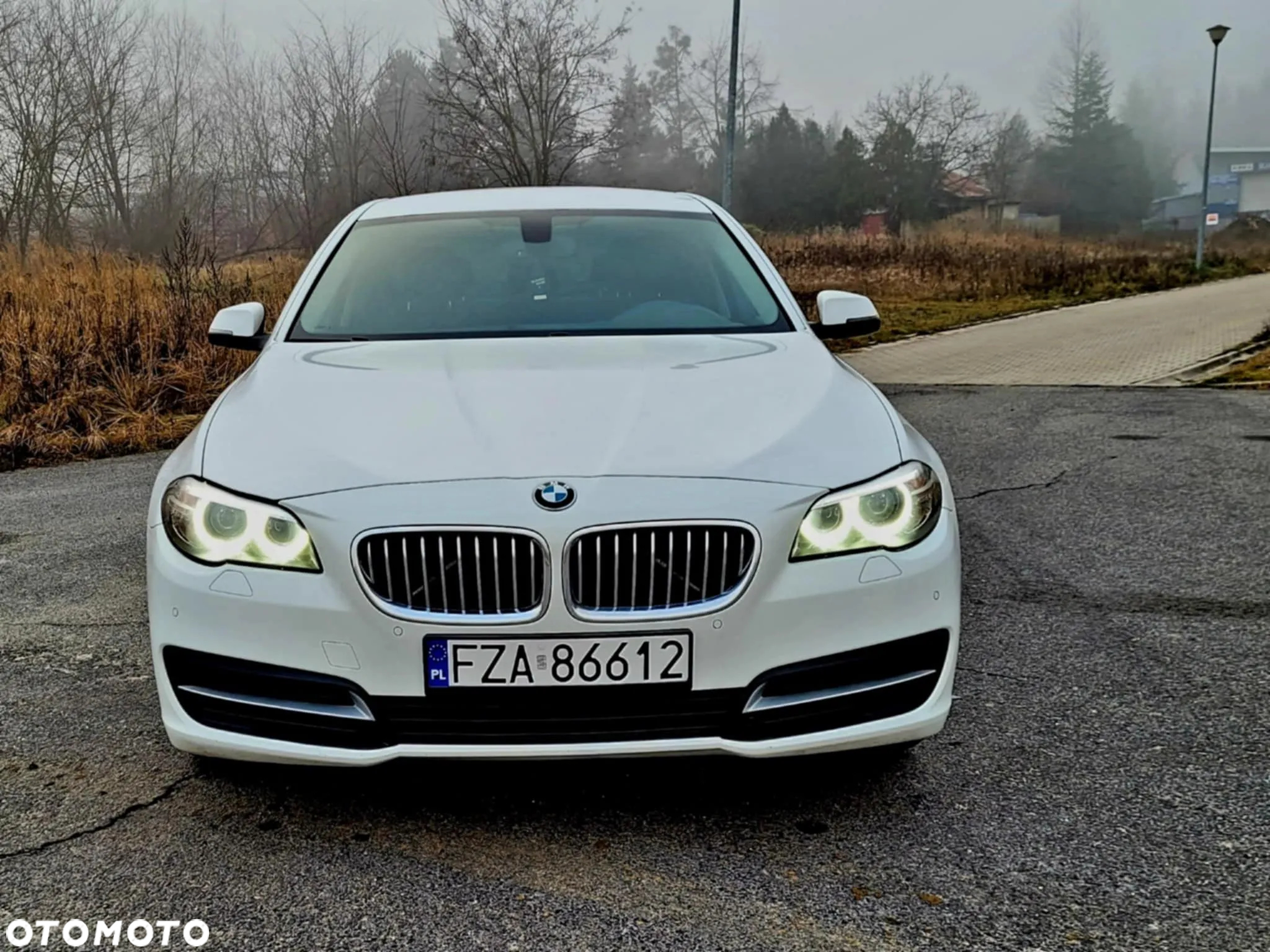 BMW Seria 5 520d xDrive - 2