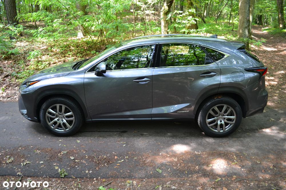 Lexus NX 300h - 6
