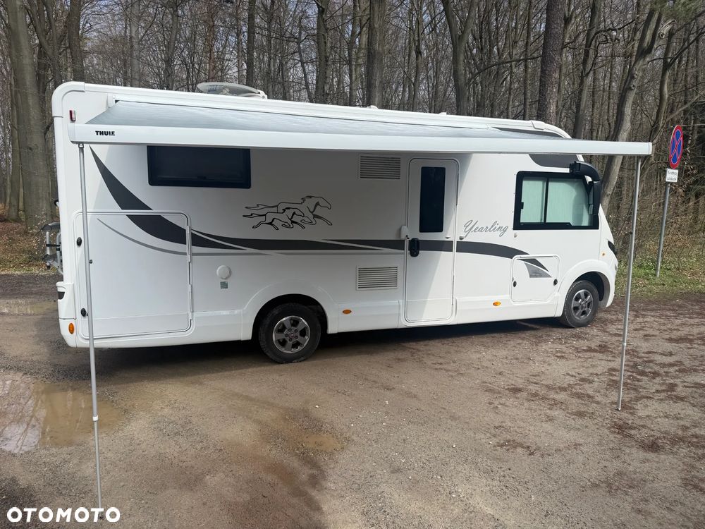 McLOUIS Yearling i61g - 6