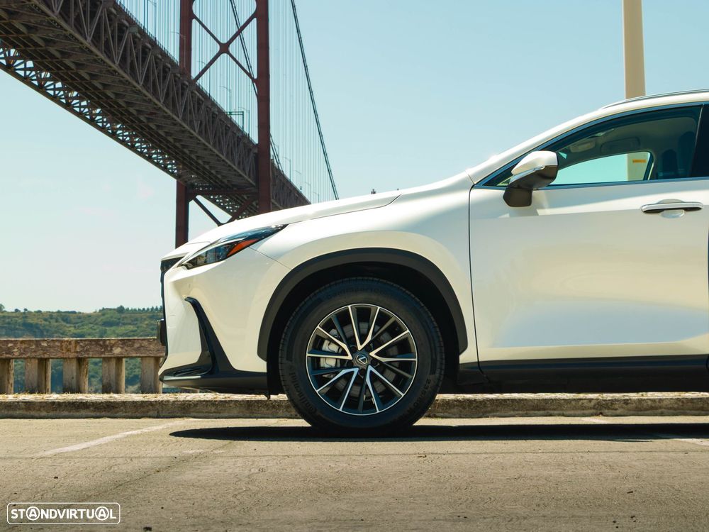 Lexus NX 450h+ Executive - 25