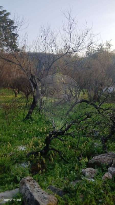 Terreno  para venda - Grande imagem: 5/6