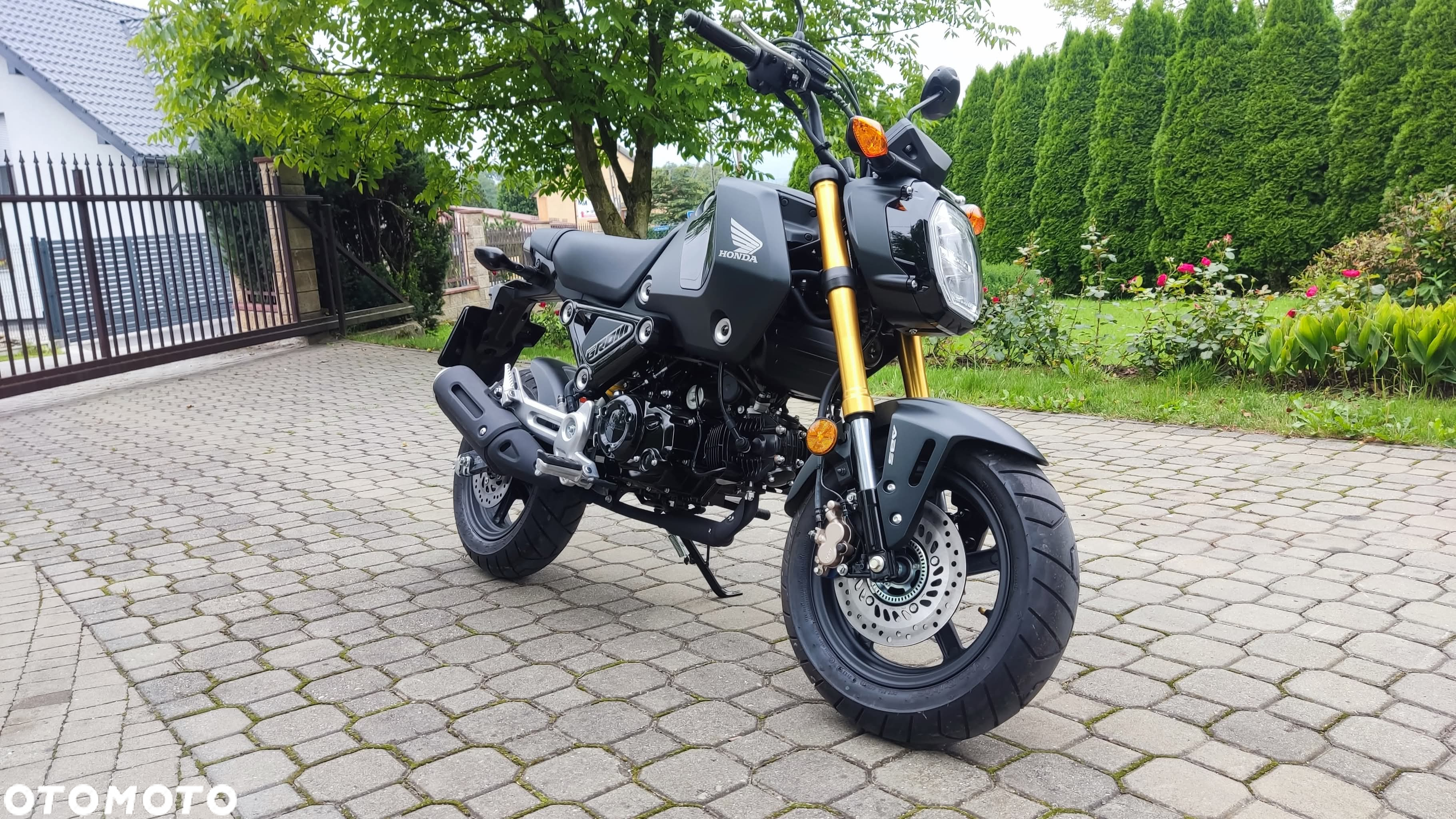 Honda MSX 125 - 2