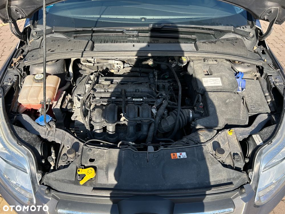 Ford Focus - 13