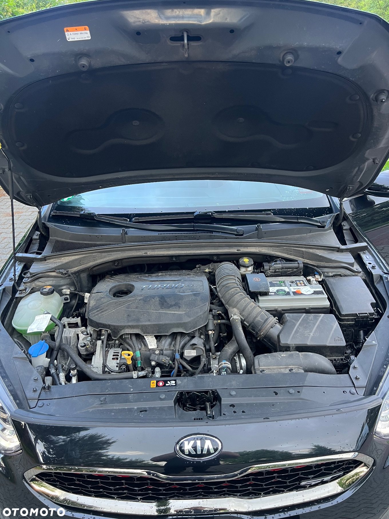 Kia ProCeed 1.6 T-GDI DCT7 OPF GT - 39