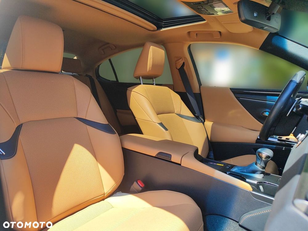 Lexus ES 300h Business Edition - 15