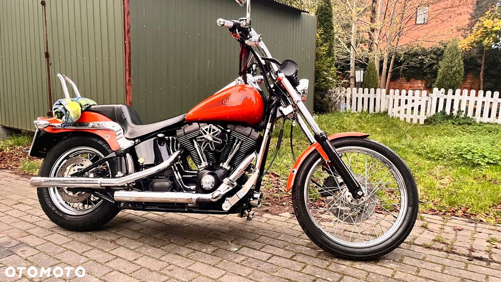 Harley-Davidson Softail Standard - 9
