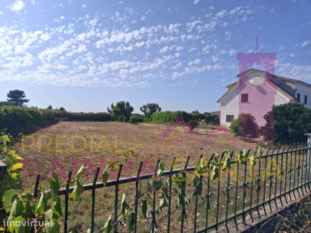 Quinta com moradia e 8960 m² de terreno em Marinhais, Salvaterra de... - Grande imagem: 4/47