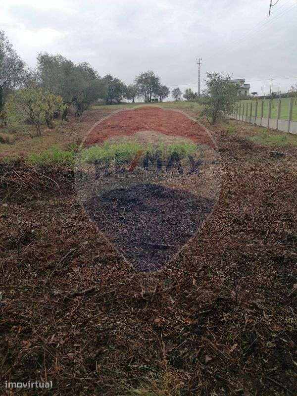 Terreno  para venda - Grande imagem: 3/3