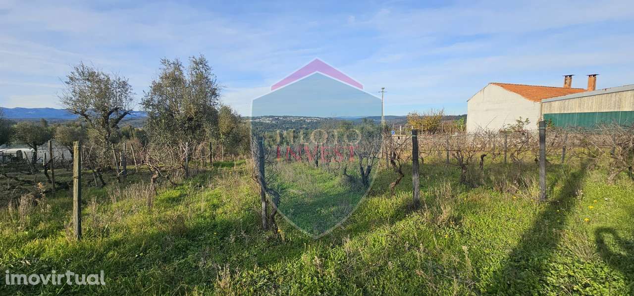 Terreno Para Construção  Venda em Silgueiros,Viseu - Grande imagem: 3/13