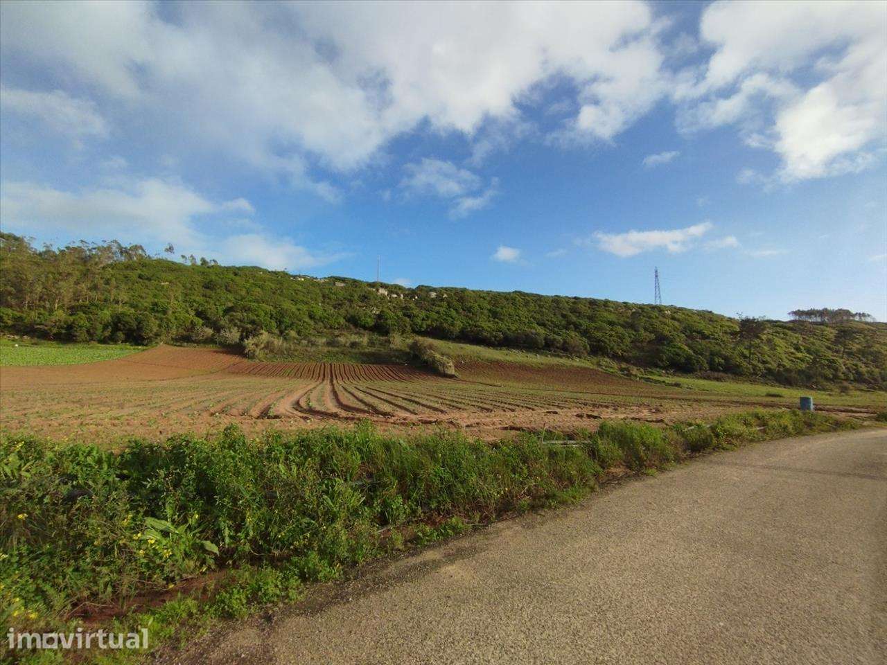 Terreno em Lourinhã, São Bartolomeu Galegos - Grande imagem: 5/12