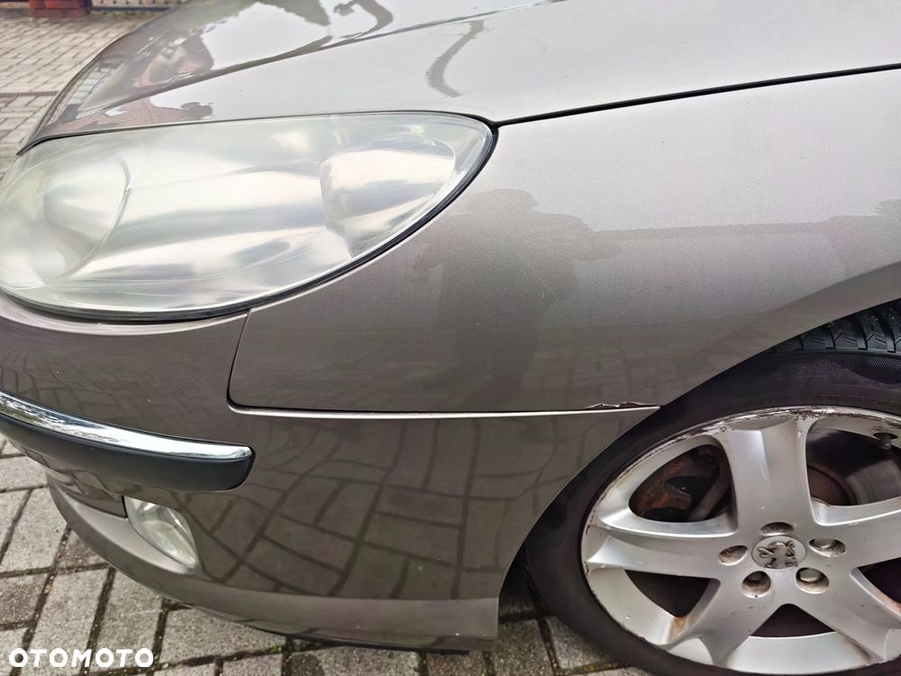 Peugeot 407 - 18
