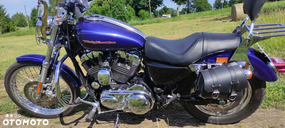 Harley-Davidson Sportster Custom 1200C - 10