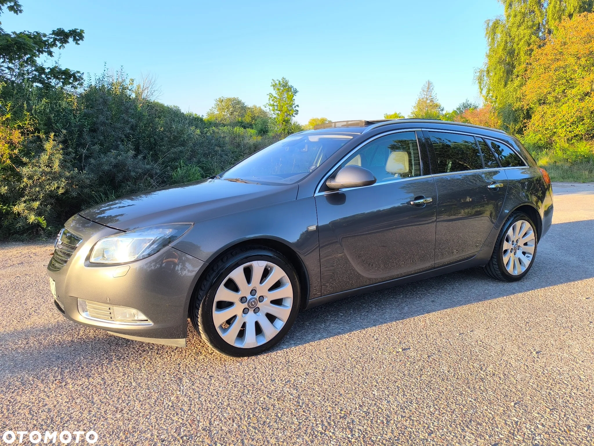 Opel Insignia - 4