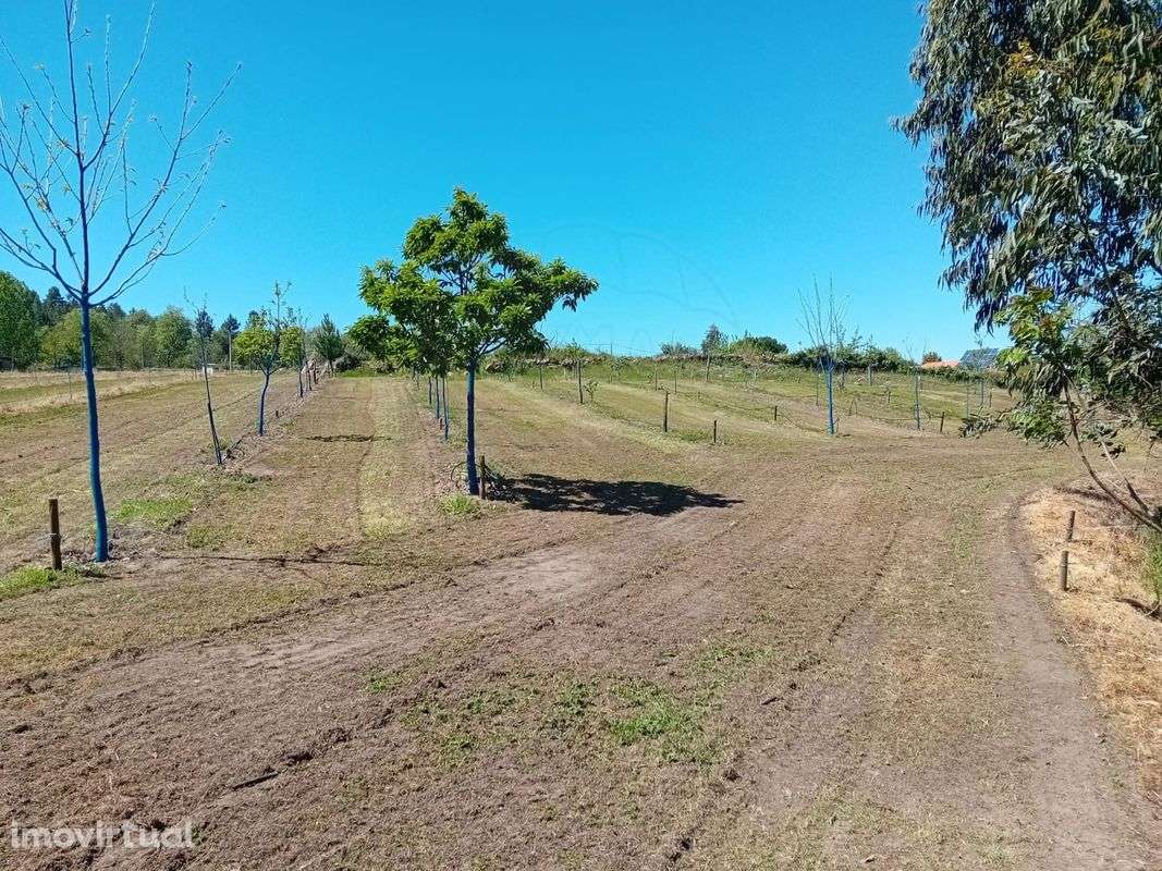 Terreno  para venda - Grande imagem: 3/21
