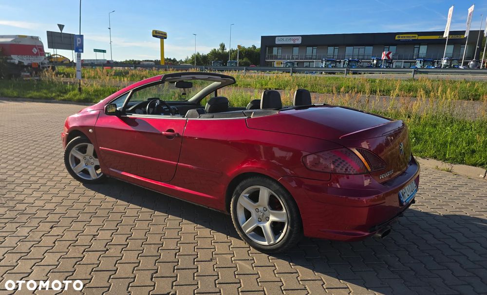Peugeot 307 2.0 Sporty - 11