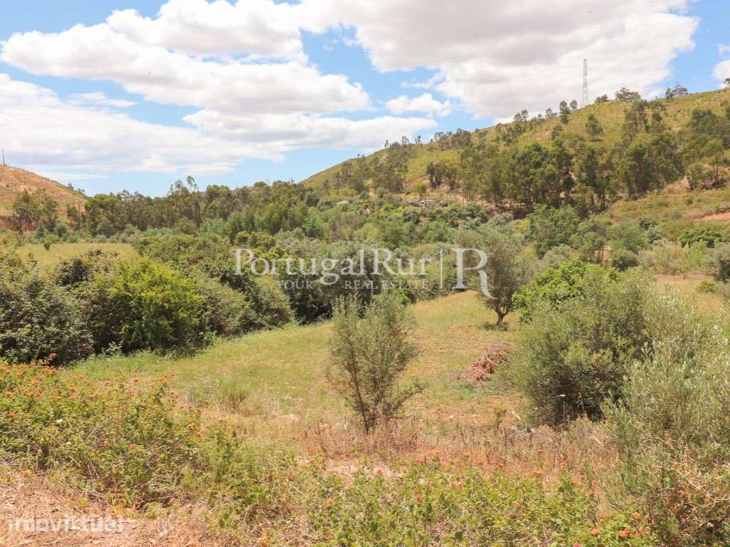 Herdade Algarvia de 29 Hectares com Projeto de Construção Aprovado - Grande imagem: 3/34