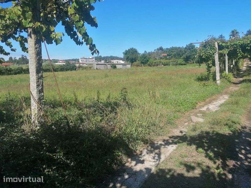 Alugo Terreno 6500m2 com anexo 100m2 - Grande imagem: 5/5