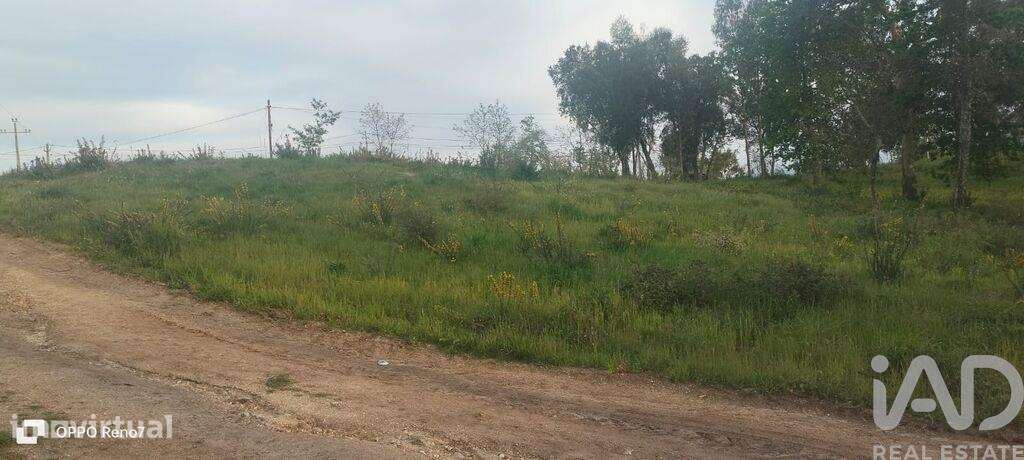 Terreno para construção em Santo isidoro e livração de 4200,00 m2 - Grande imagem: 2/30