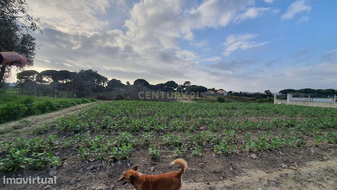 Terreno no meco para apoio agricola ou empreendimento turistico. - Grande imagem: 4/12