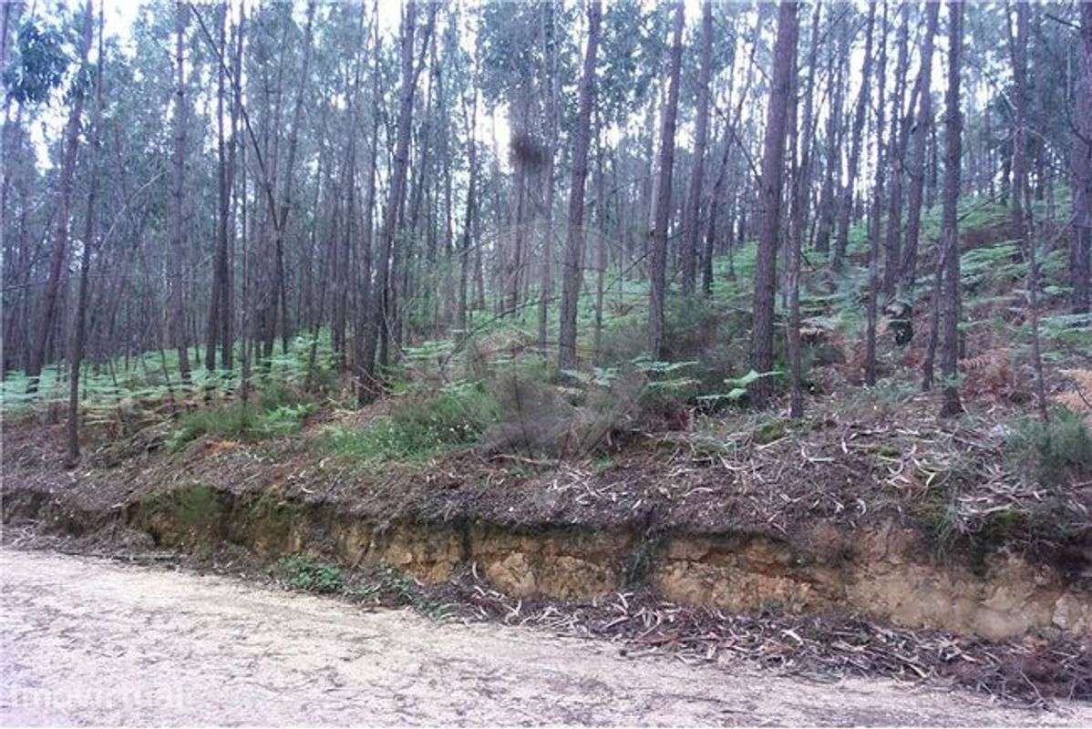 Terreno  para venda - Grande imagem: 3/3