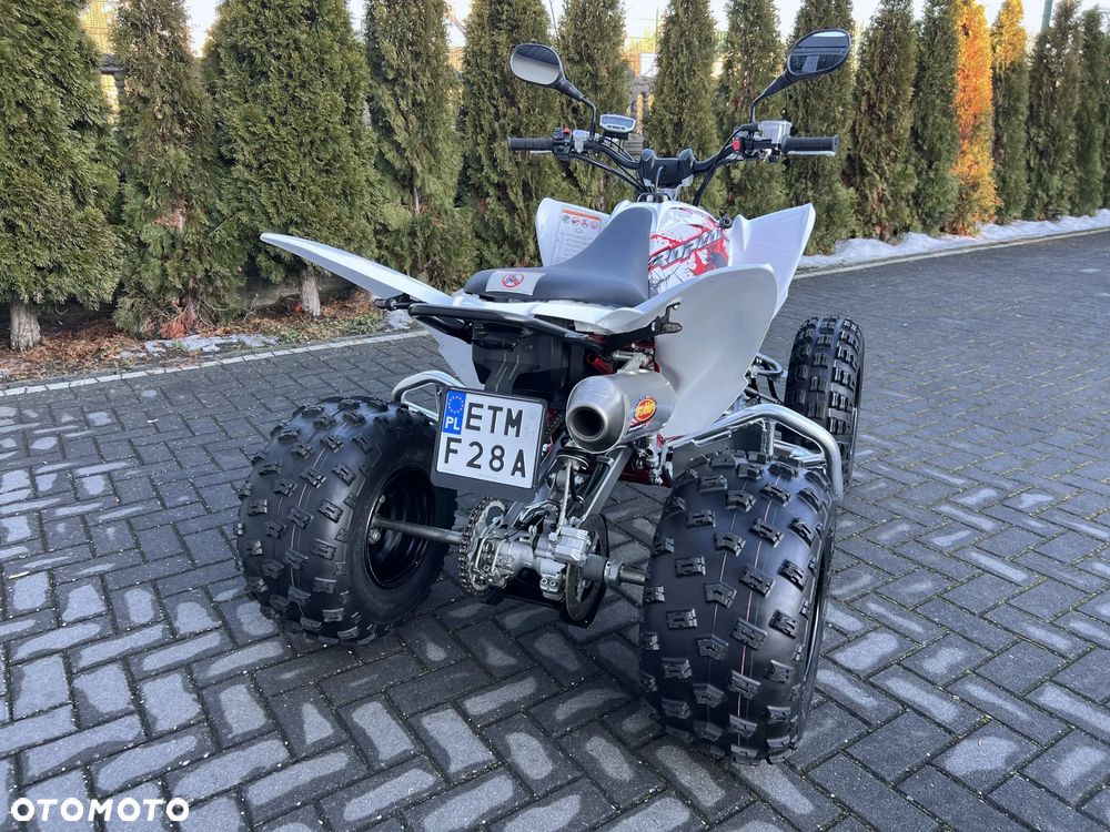 Yamaha Raptor - 6