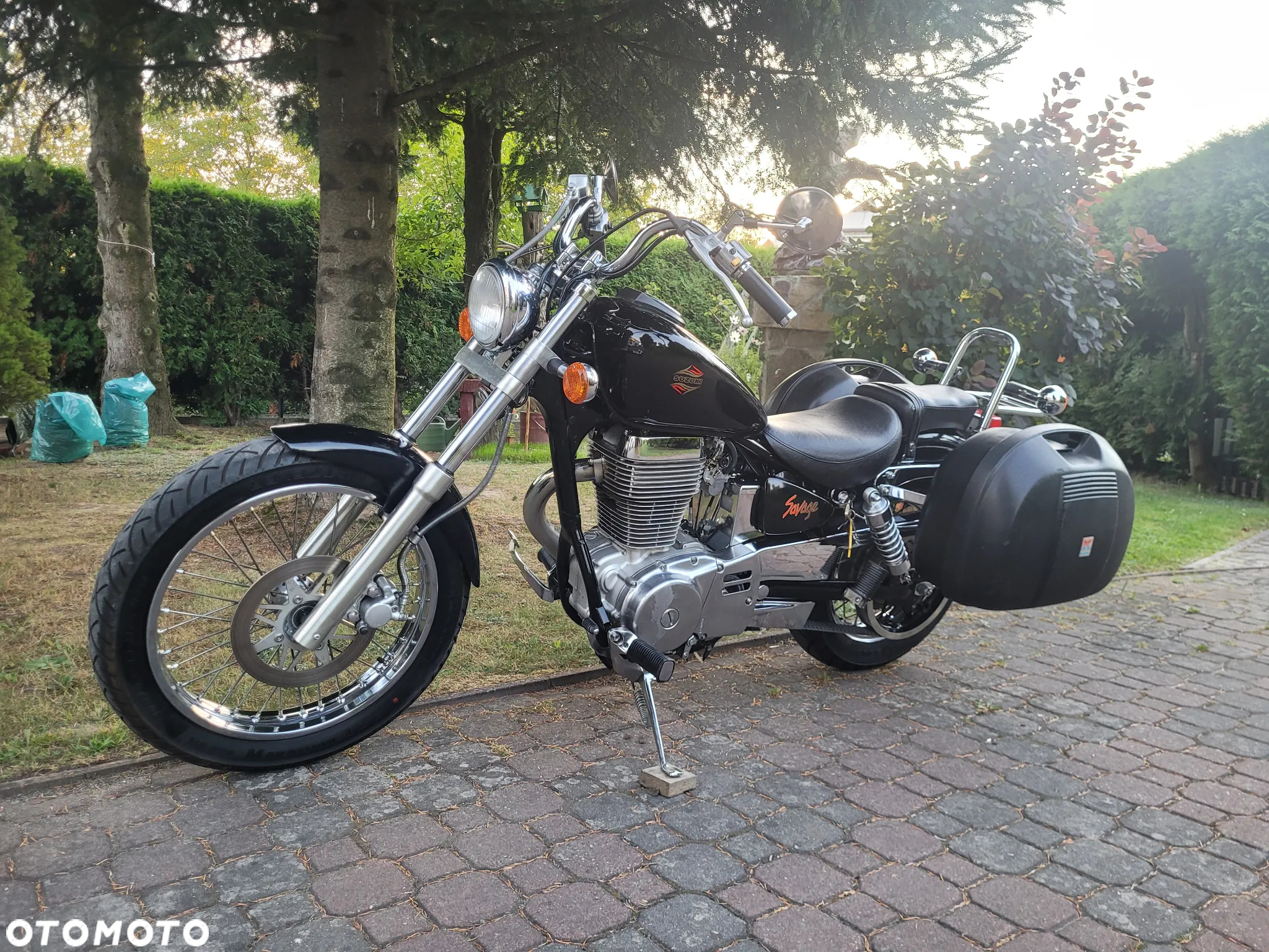 Suzuki Savage - 14