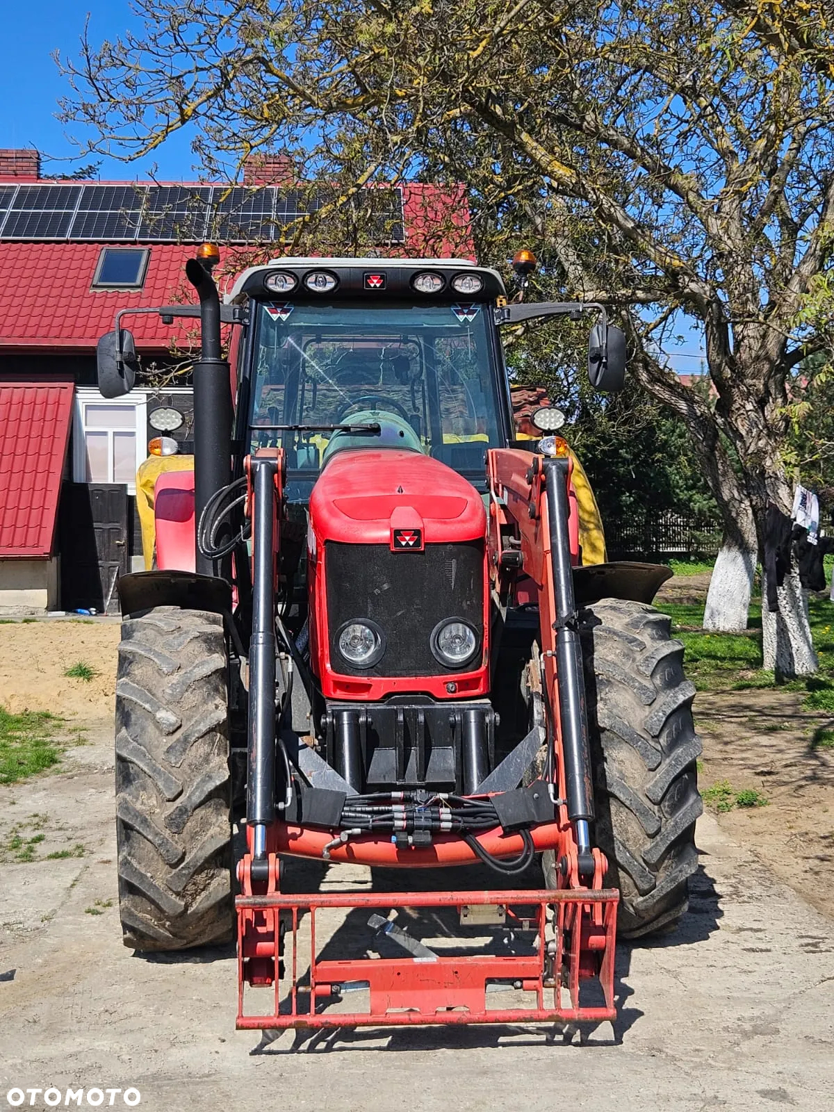 Massey Ferguson 6465 - 3